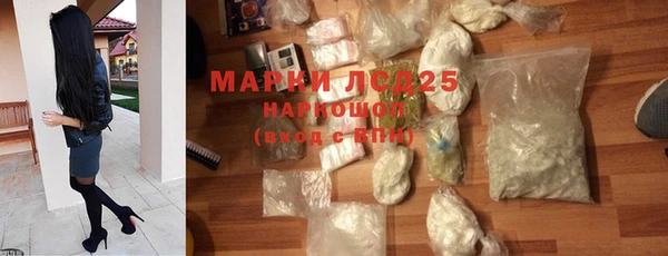 стафф Алзамай