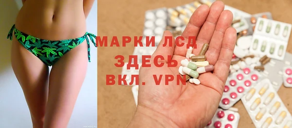 стафф Алзамай