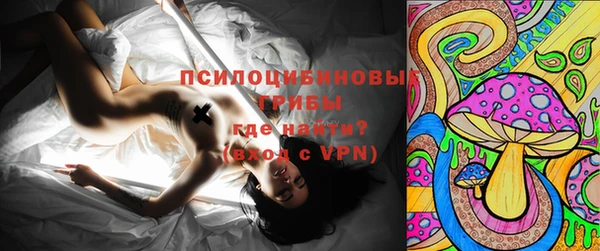 мет Алексин