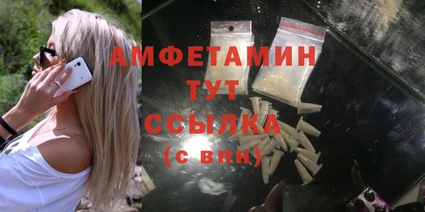 стафф Алзамай
