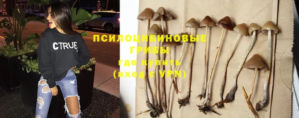 дурь Болохово