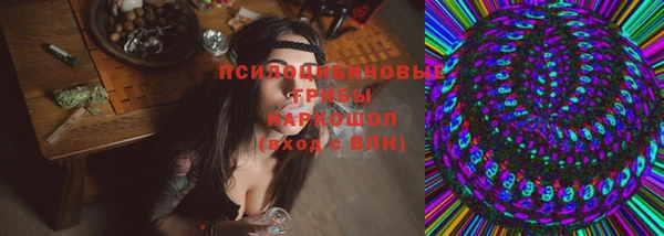 ПСИЛОЦИБИНОВЫЕ ГРИБЫ Алексеевка